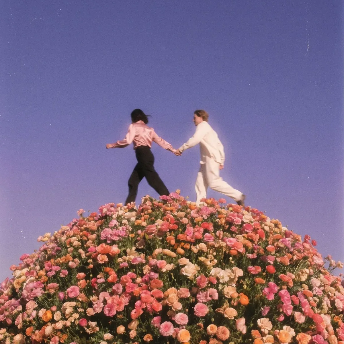 คู่รักวิ่งบนดาวเคราะห์ดอกไม้ ภาพยนตร์อนาล็อกฝัน 1