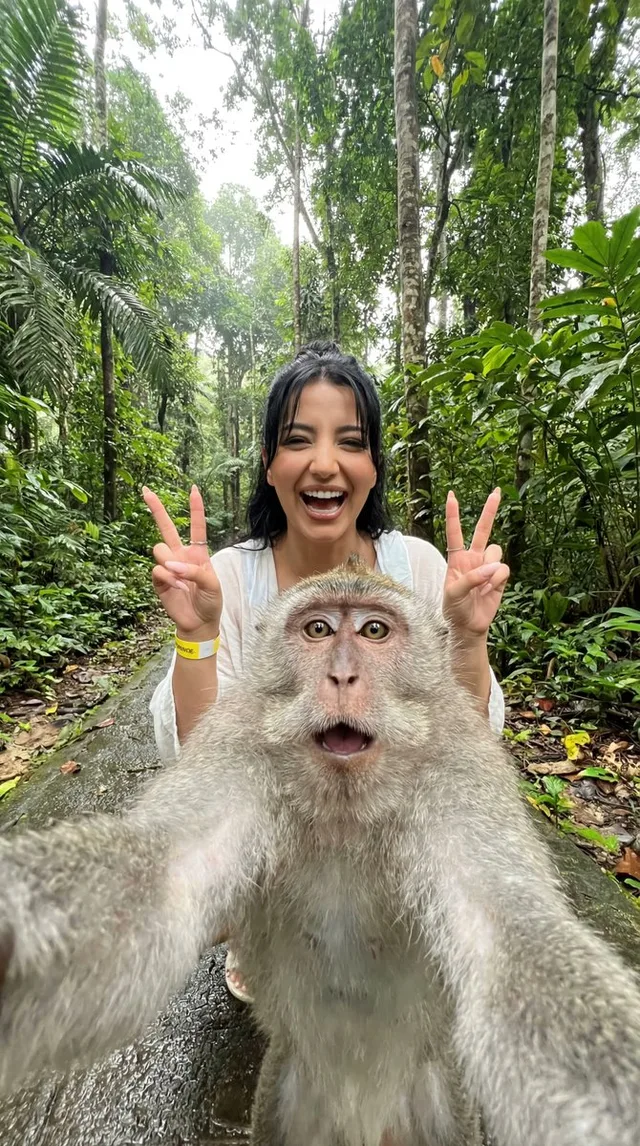 เซลฟี่ลิงกังสุดฮาในป่าเขตร้อน