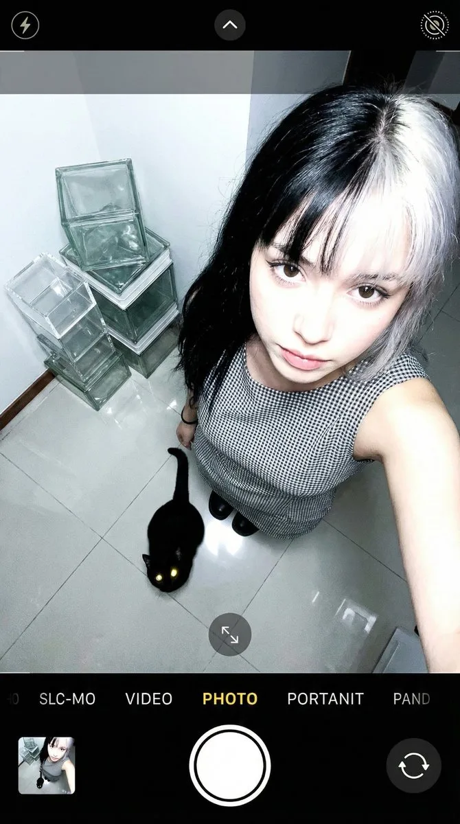 เซลฟี่มุมสูง: สาวกับแมวดำ 1