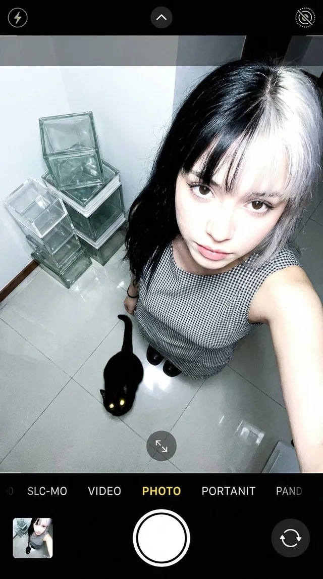 เซลฟี่มุมสูง: สาวกับแมวดำ
