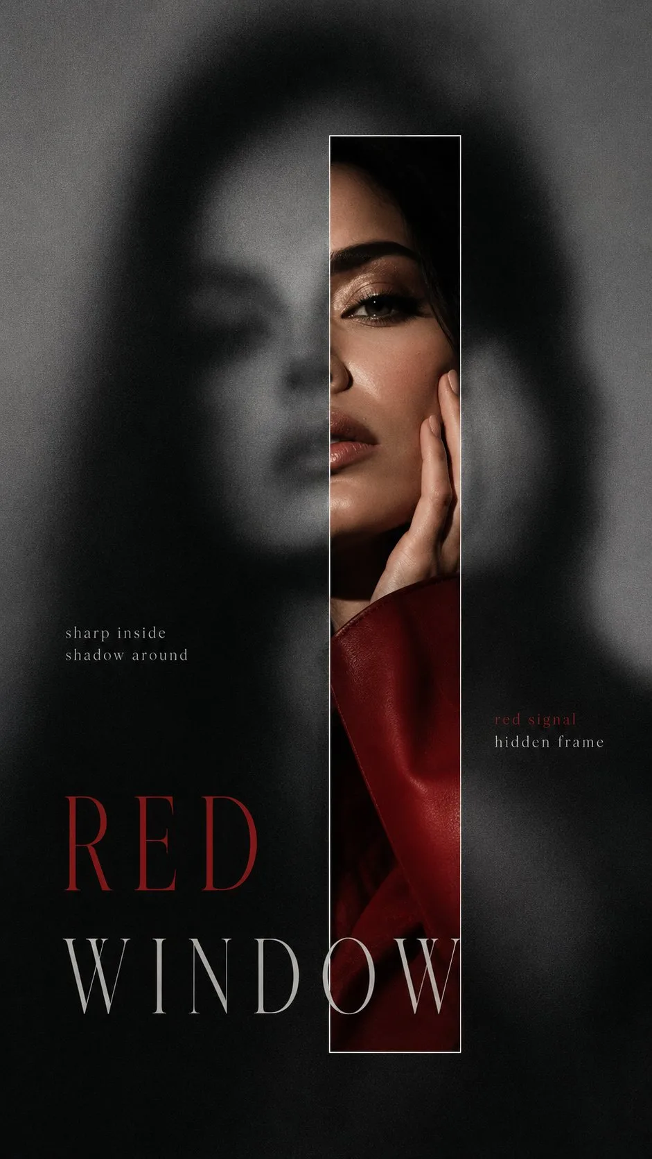 โปสเตอร์บุคคลเบลอเปิดเผย สไตล์หนัง ระดับพรีเมียม 1