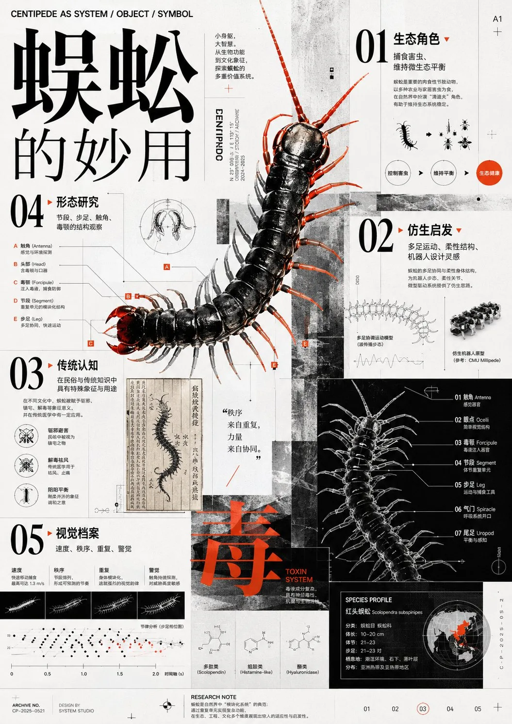 ดีไซน์ International Typographic Style ผสานศิลปะ 2
