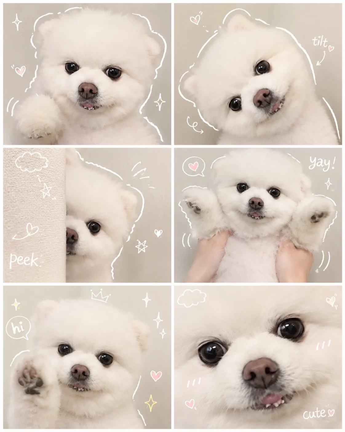 คอลลาจหมาน้อย สไตล์สมุดสเก็ตช์ ลายเส้นวาดมือ 1