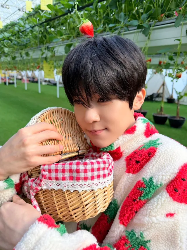 แอสกีอาร์ตสตรอว์เบอร์รีสุดมินิมอล