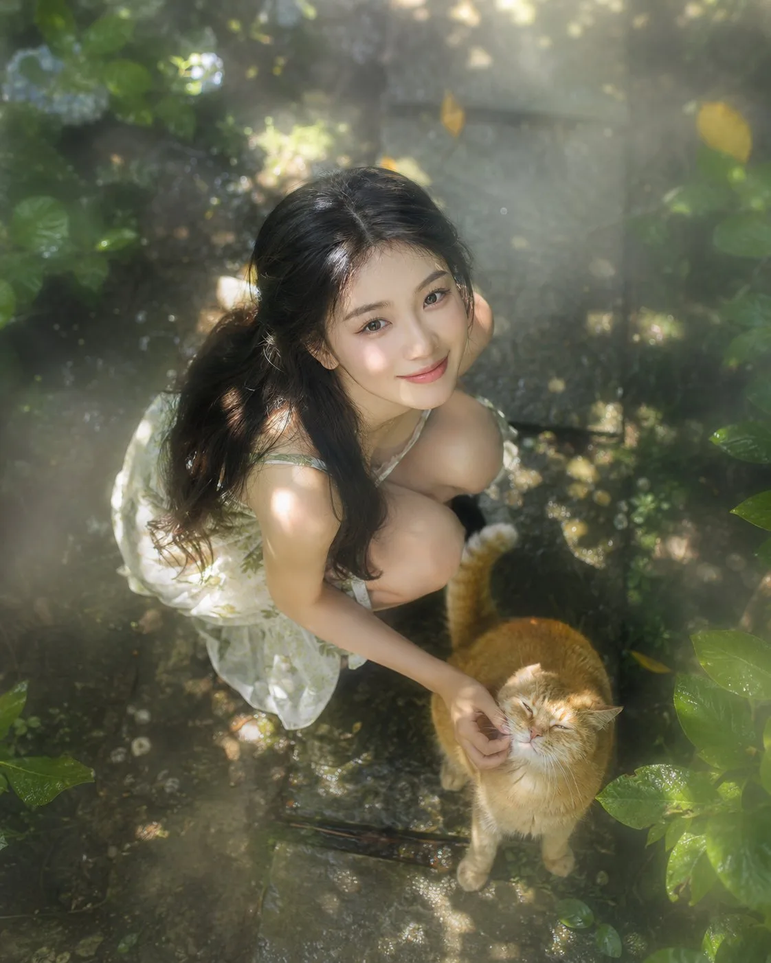 สาวสวนกับแมวส้ม: มุมสูง Tyndall Effect 1